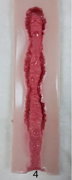 #4(17cm)